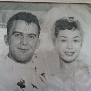 Meet your Posher, Albin